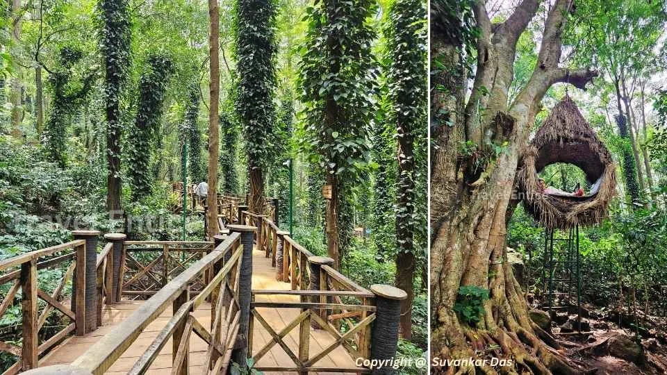 Araku Tourism